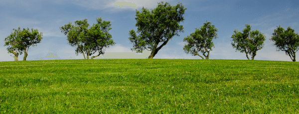 How to Make Your Green Cleaning Business Stand Out