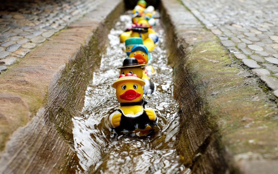 Does Your Janitorial Services Company Have Their Ducks in a Row?