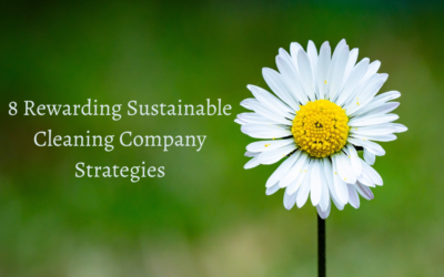 8 Rewarding Sustainable Cleaning Company Strategies