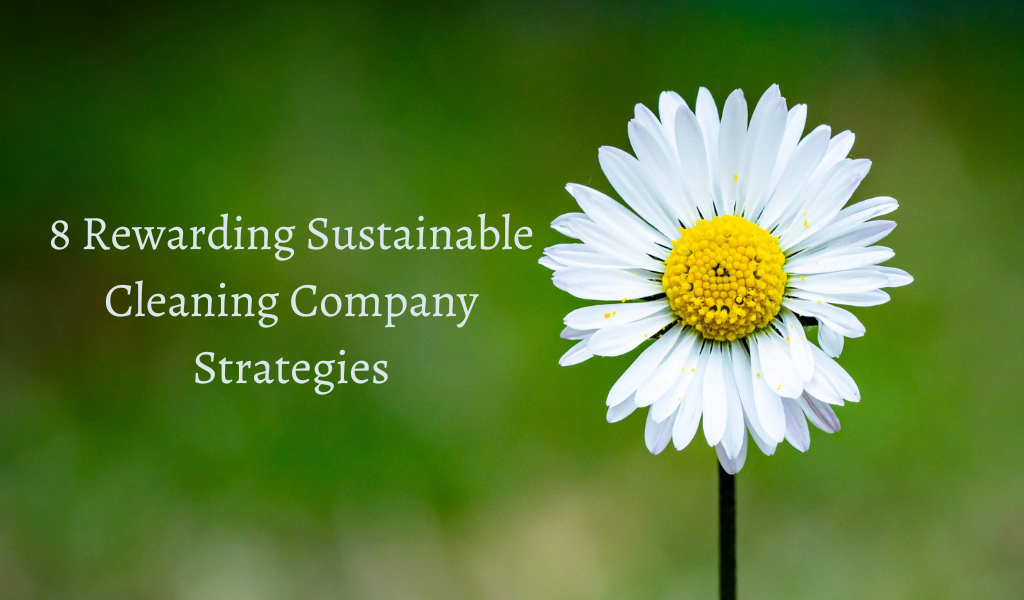 8 Rewarding Sustainable Cleaning Company Strategies